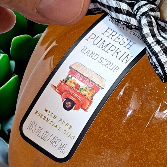 16.5 oz MORGAN CHILD FRESH PUMPKIN luxury hand scrub Hand wash - Picture 2 of 4